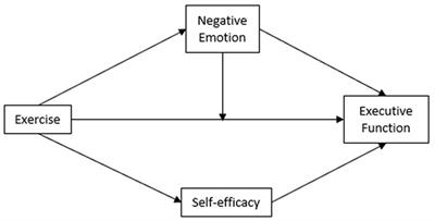 Impact of physical activity on executive functions: a moderated mediation model